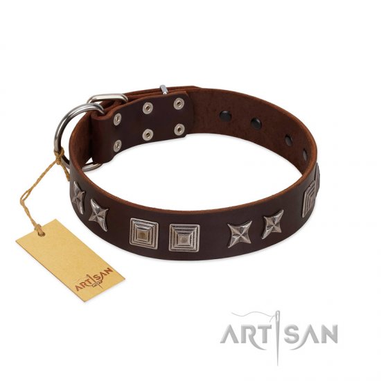 "Needle Stories" Modern FDT Artisan Brown Leather Dog Collar with Square Engraved Plates and Four-Point Stars - Click Image to Close
