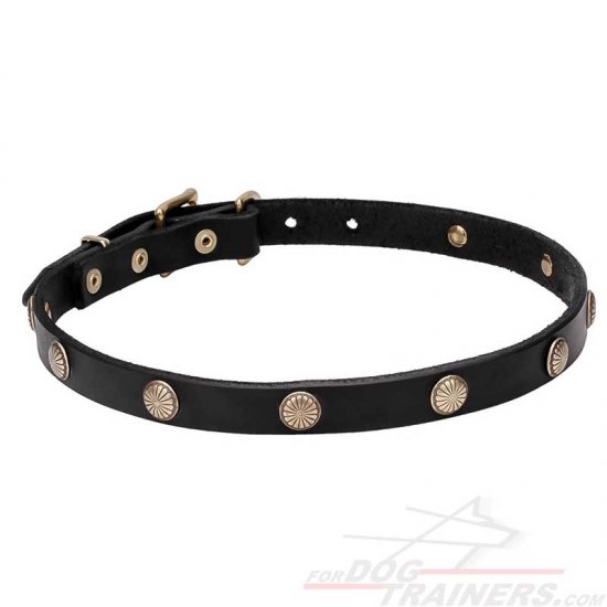"Sunny Beams" Leather Studded Dog Collar - 3/4 Inch (20 mm) wide - إضغط الصورة للإغلاق