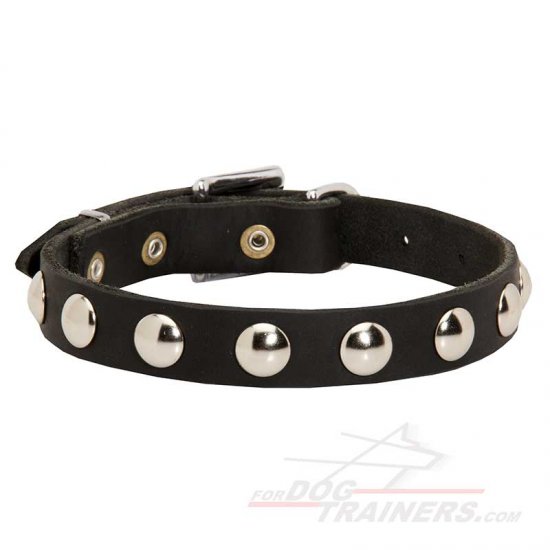 "Shiny Elegance" Leather Dog Collar for Walking with Nickel Half-Ball Studs - إضغط الصورة للإغلاق