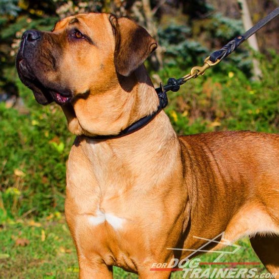NEW 2018 Exclusive Round leather silent training Cane Corso choke collar