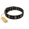 'Pirate's Spell' FDT Artisan Black Leather Dog Collar with Engraved Studs and Medallions
