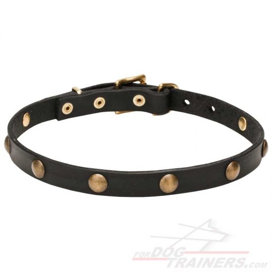 'Elegant Beauty' Fashion Leather Dog Collar with Brass Hardware 4/5 inch (20 mm) Wide - إضغط الصورة للإغلاق