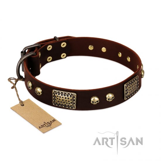 "Magic Amulet" Brown Leather Dog Collar with Skulls and Plates - Click Image to Close