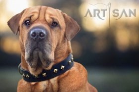 Gorgeous *Tyson Presents FDT Artisan Leather Sharpei Cross Collar