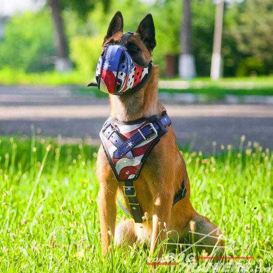 Malinois Handpainted Leather Canine Harness - American Pride Style