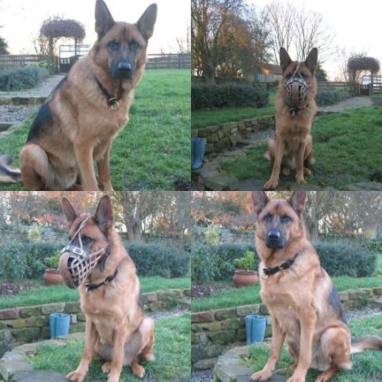 German Shepherd Basket Leather Muzzle for Dogs