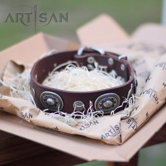 FDT Artisan Studded Brown Leather Collar Crafted for *Copper German Shepherd