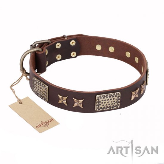 "Sparkling Bronze" FDT Artisan Genuine Leather Dog Collar with Bronze Look Stars and Plates