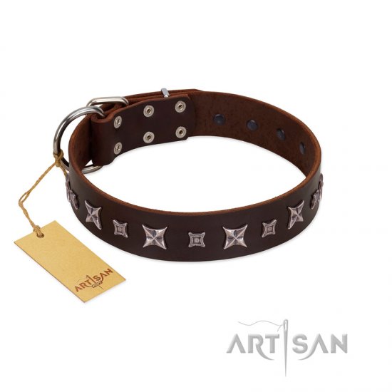 "Stellar Fairy " FDT Artisan Brown Leather Dog Collar with Chrome-plated Star-like Decorations - Click Image to Close