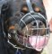 *Tonka in stylish Basket Dog Muzzles (All Sizes)