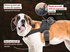 All Weather dog harness for tracking / pulling Designed to fit pitbull - H6