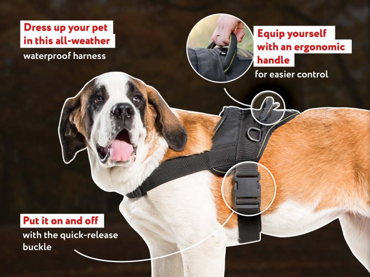 Nylon Multipurpose Pitbull Harness for Tracking / Pulling