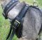 *Kenzo appreciated new Agitation / Protection / Attack Leather Dog Harness