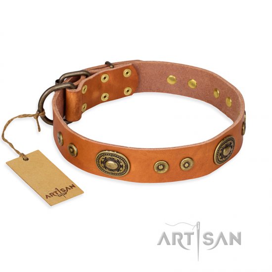 "Dandy Pet" FDT Artisan Handcrafted Tan Leather Dog Collar