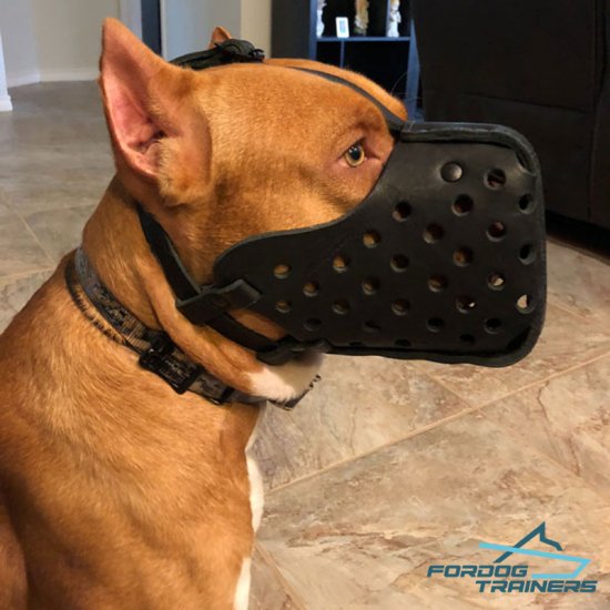 Attack Training Leather Pitbull Muzzle for Big Breeds
