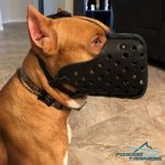 Attack Training Leather Pitbull Muzzle for Big Breeds