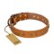 "Autumn Story" FDT Artisan Leather Dog Collar with Old Bronze Look Studs