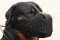 Leather dog muzzle "Dondi" style For Rottweiler - M55