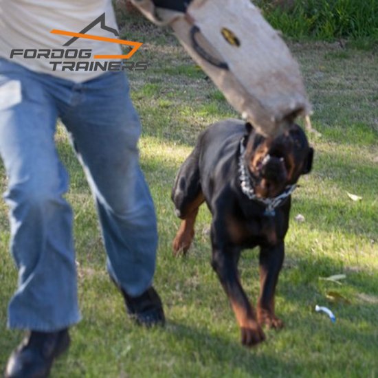 *Rambo Displays FDT Puppy Bite Sleeve of Jute for 0 Level Training with 40% DISCOUNT