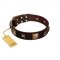 "Choco Dreams" FDT Artisan Brown Leather Dog Collar with Squares and Stars