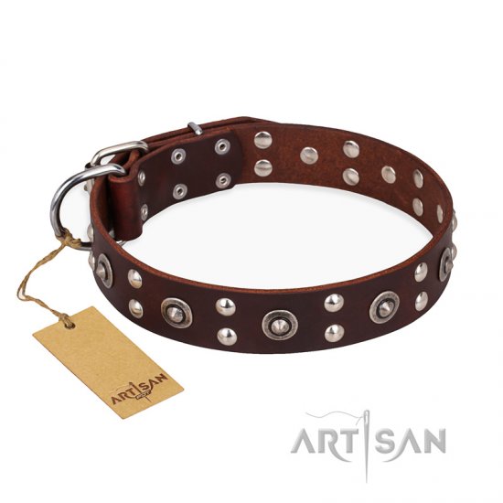 "Pirate Treasure" FDT Artisan Exciting Brown Leather Dog Collar with Studs