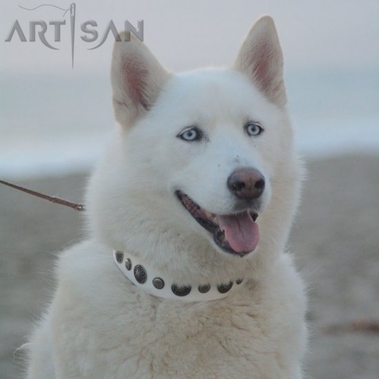 *Aika Wearing Handmade *White Leather Dog Collar from FDT Artisan Design