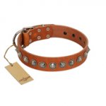 "Silver Spike" Handmade FDT Artisan Tan Leather Dog Collar with Old Silver-Like Spikes