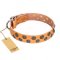 "Precious Sparkle" FDT Artisan Handcrafted Tan Leather Dog Collar