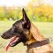 Multifunctional Malinois Leather Collar - c4- 1.5 inch (3.8cm) width