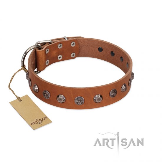 "Silver Age" Fashionable FDT Artisan Tan Leather Dog Collar with Silver-Like Studs - إضغط الصورة للإغلاق