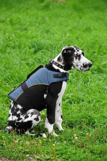 30% Discount - NEW 2018 All Season Extra Strong Nylon Vest Dog Harness- H13-Outdoor