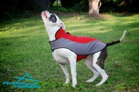 Warm Nylon American Bulldog Coat Harness for Winter Walking