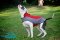 Warm Nylon American Bulldog Coat Harness for Winter Walking