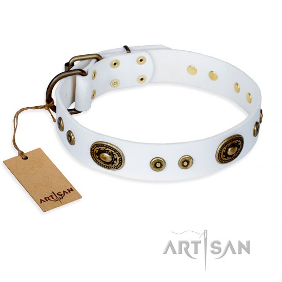 "Magnetic Appeal" FDT Artisan Decorated White Leather Dog Collar