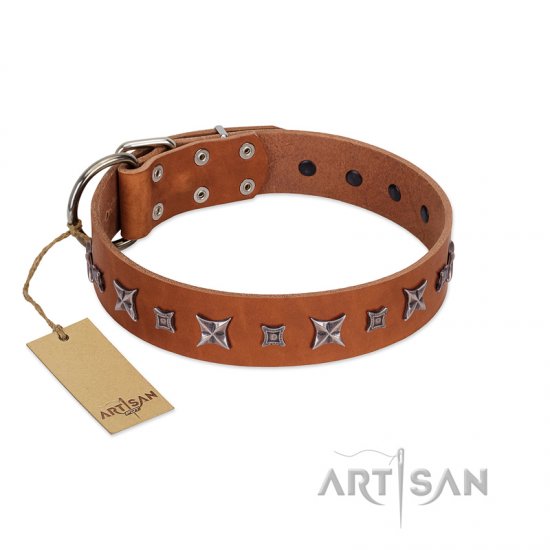 "Star Shine" Exclusive FDT Artisan Tan Leather Dog Collar with Silver-Like Adornments
