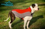 Superb Warm Nylon Dog Coat Harness for American Bulldog Winter Walking