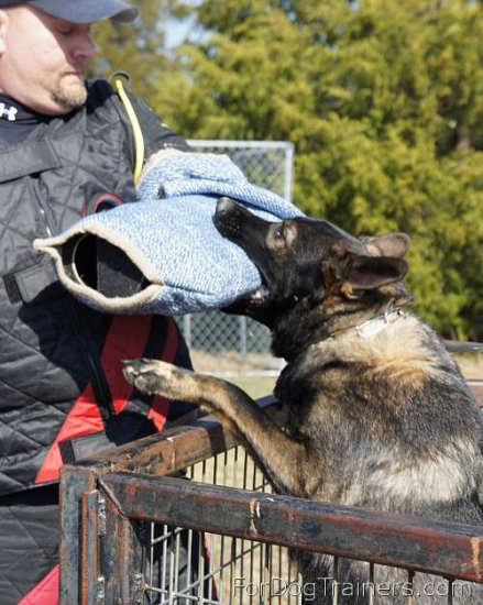 *Atlas looking Gorgeous in New STAINLESS STEEL FUR SAVER ( Made in Germany )