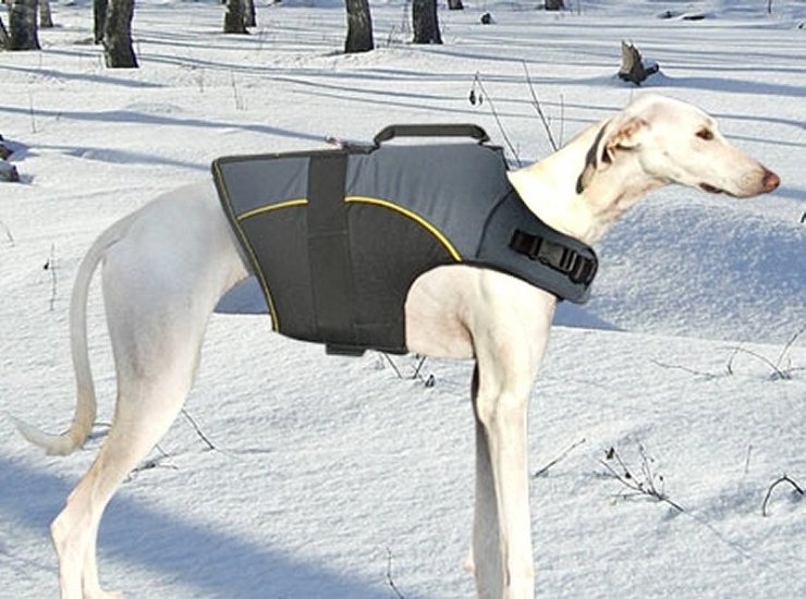 30% Discount - NEW 2018 All Season Extra Strong Nylon Vest Dog Harness - H13-Outdoor