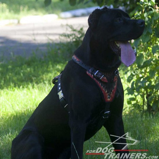 Handpainted Attack Training Leather Cane Corso Harness