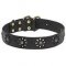 'Spring mood' Leather Dog Collar for Joyful Walking