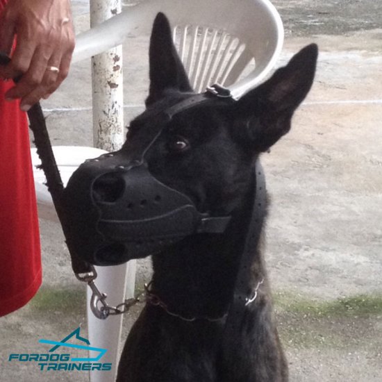 Hard Leather Dog Muzzle for Working Dog Training