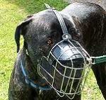 *Scooby wearing our exclusive Wire Basket Dog Muzzles Size Chart - Great Dane muzzle - M4light