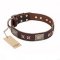 "Sparkling Bronze" FDT Artisan Genuine Leather Dog Collar with Bronze Look Stars and Plates