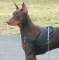 All Weather Nylon Dog Harness for Doberman Breed