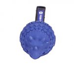 "Triceratops" Best Quality Rubber Blue Dog Toy for Having Fun