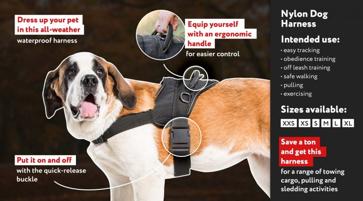 *Ridlis Walks in Comfort in Best Nylon Harness for Alaskan Malamute