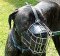 *Scooby wearing our exclusive Wire Basket Dog Muzzles Size Chart - Great Dane muzzle - M4light