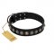 "Black Eagle" Handcrafted FDT Artisan Black Leather Dog Collar with Silver-Like Adornments