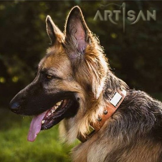 *Akela Establishes Matchless Style with Designer Tan Leather German Shepherd Collar from FDT Artisan
