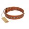 "Silver Spike" Handmade FDT Artisan Tan Leather Dog Collar with Old Silver-Like Spikes